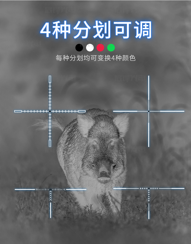 朗高特A7A9_08.jpg